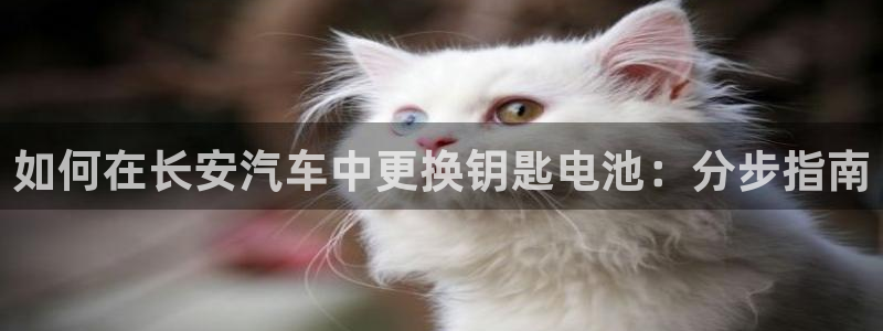 优发国际手机客户端下载安卓