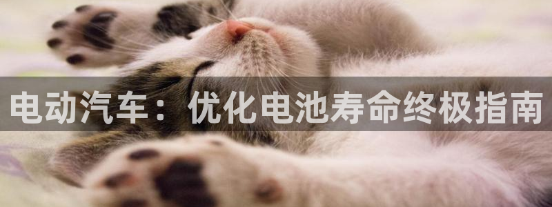 优发国际手机登录下载安装