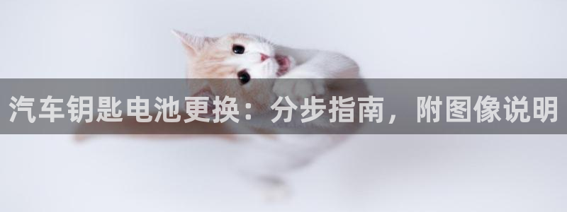 优发国际手机app下载安装苹果
