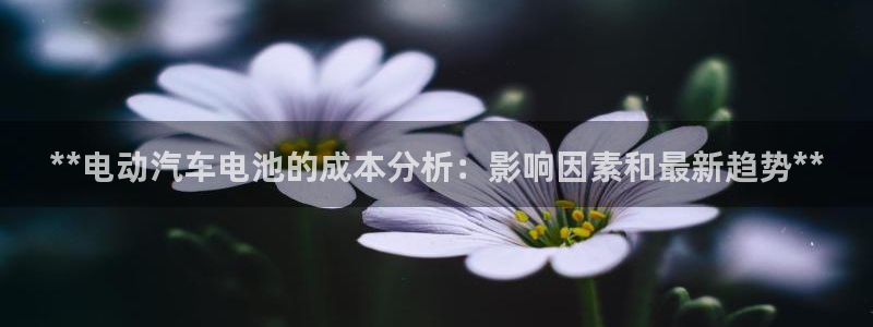 优发国际是大平台吗知乎