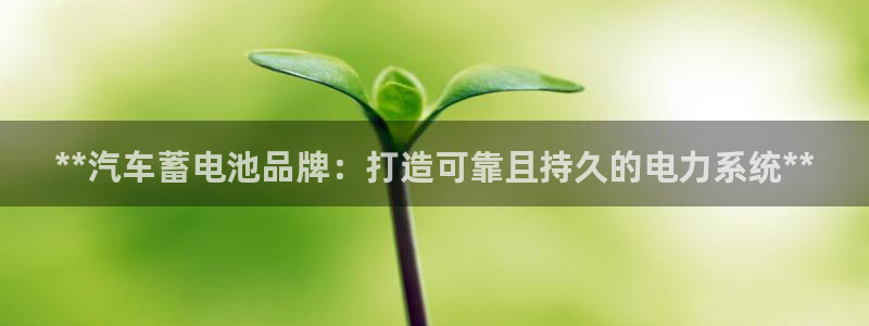 优发国际官网下载安装