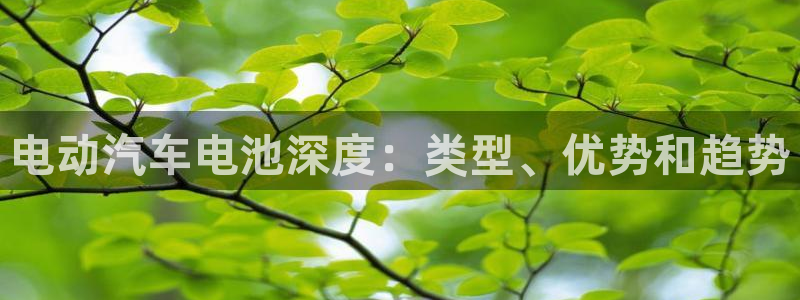 优发国际手机客户端官网首页