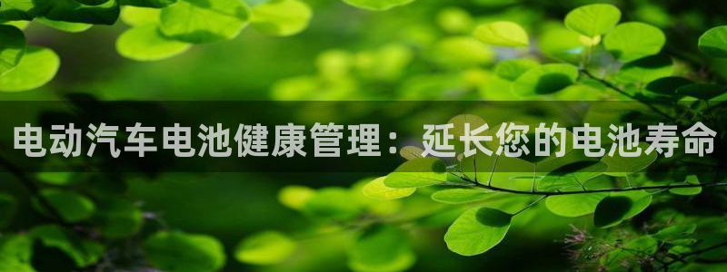 优发国际是大平台吗