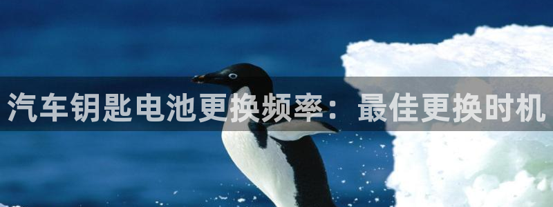 优发国际下载