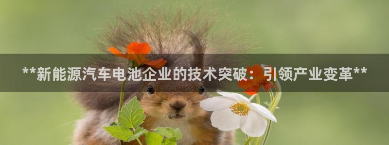 优发国际平台18