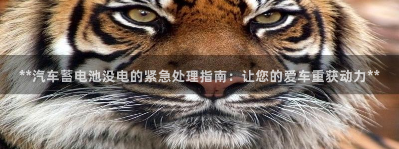 优发国际手机版客户端下载