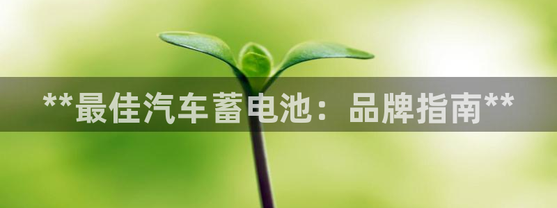 优发国际是大平台吗还是小平