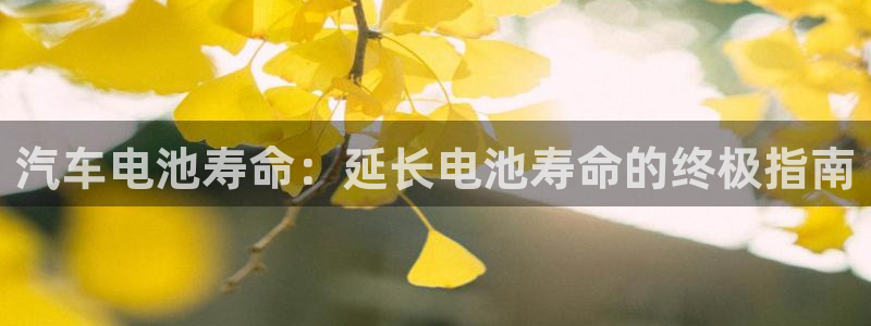 优发国际手机版官网下载