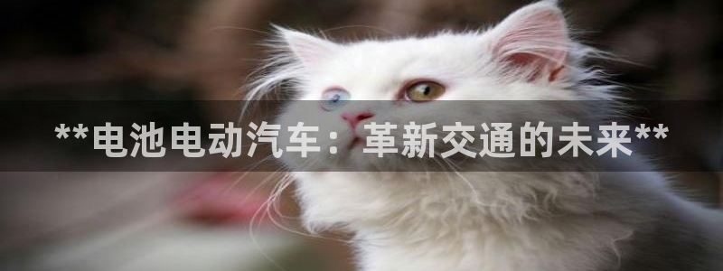 优发国际登陆u