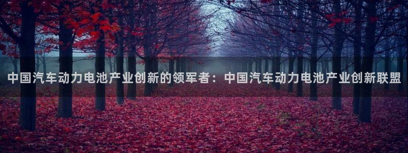 优发国际登录k8