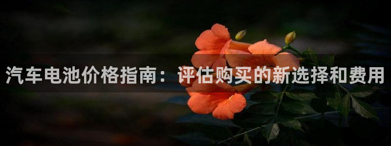 优发国际不出款怎么办