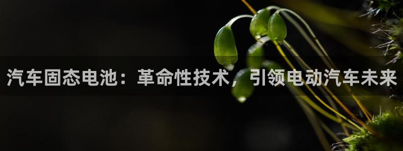 优发国际集团股份有限公司
