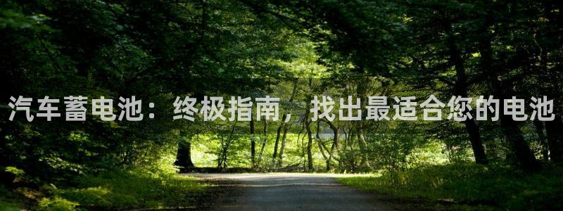 优发国际平台u8是什么公司