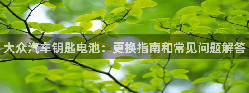 优发国际平台手机版下载安装