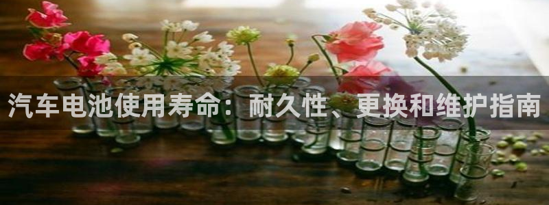 优发国际集团股份有限公司官网