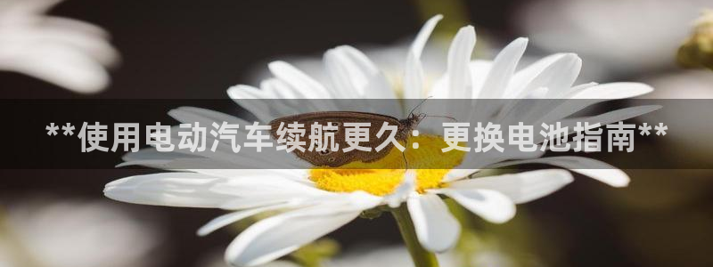 优发国际网官