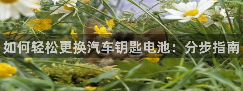 优发国际游戏17