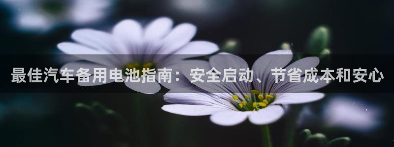 优发国际平台app下载苹果版