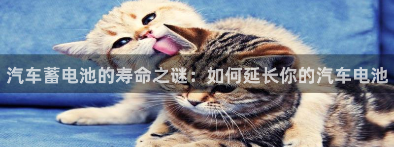 优发国际youfa