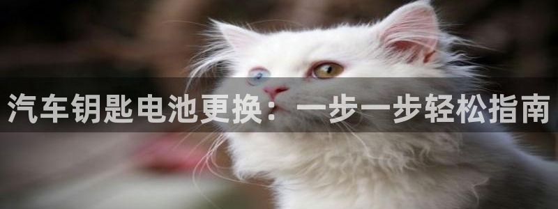优发国际注册平台