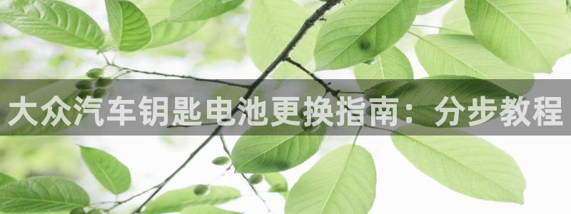 优发国际的官网是什么软件