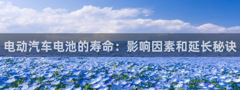 优发国际的网站是