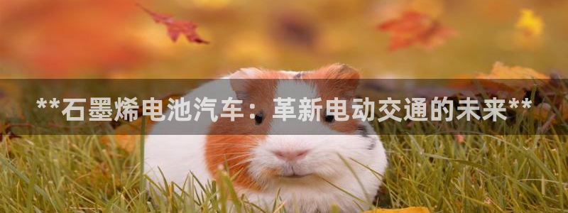优发国际官网下载手机版