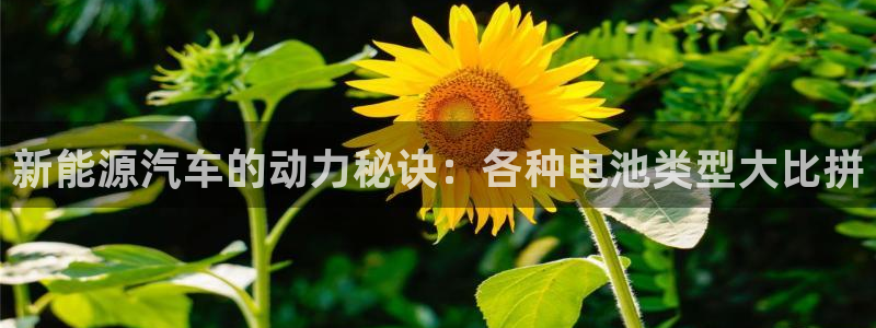 优发国际官网是多少