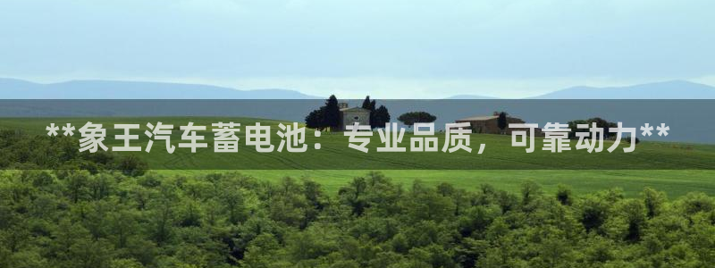 优发国际官方网手机版下载安装