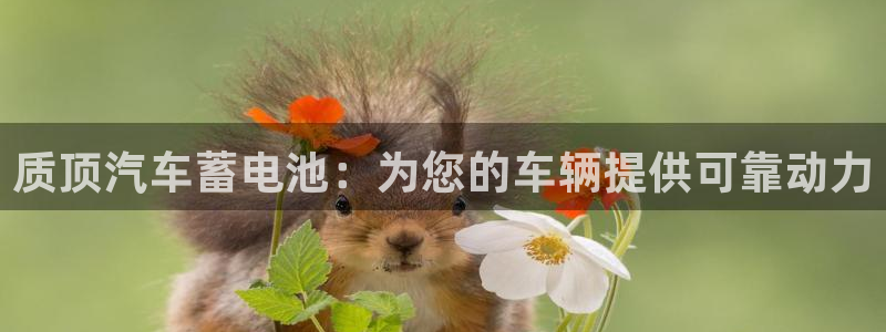 优发国际登录app