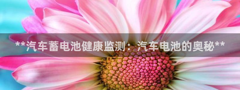 优发国际平台手机版下载官网