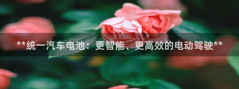优发国际的官网是