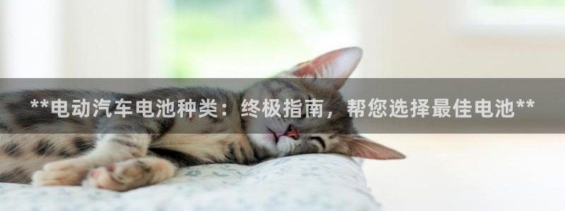 优发国际手机登录下载安装