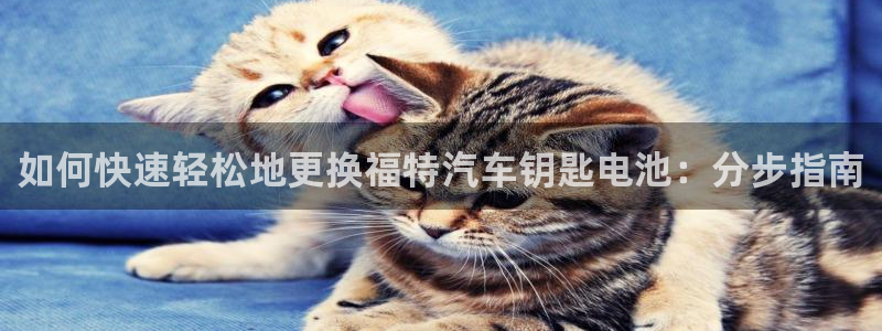 优发国际这个平台怎么样知乎
