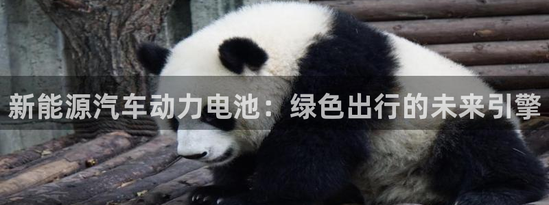 优发国际VIP网址