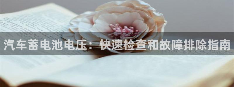 优发国际平台