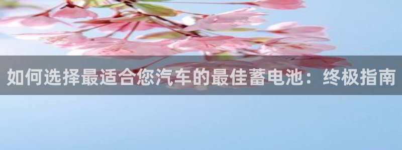 优发国际官方网手机版