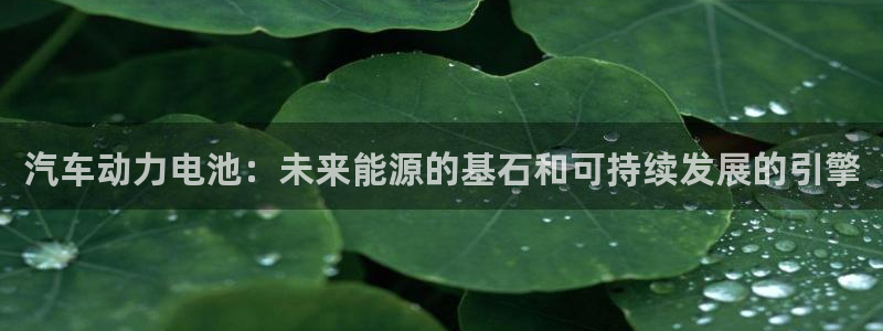 优发国际平台APP