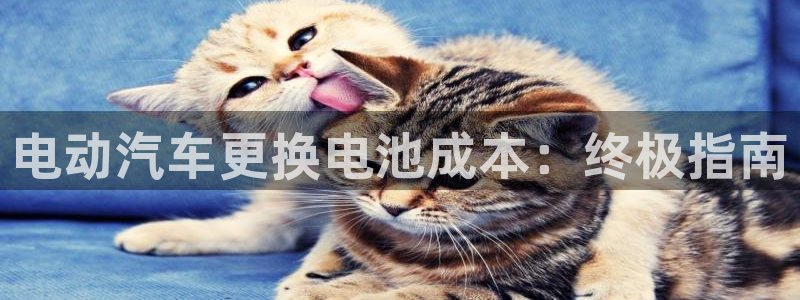 优发国际注册账号