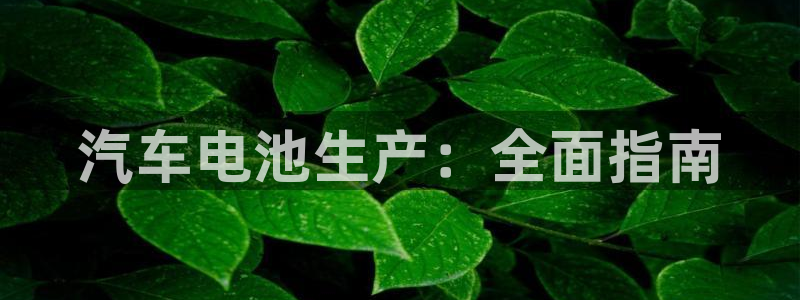 优发国际官方网手机版下载安卓