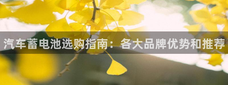 优发国际注册平台官网