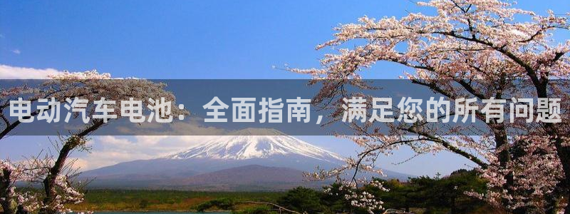 优发国际合并到哪里了