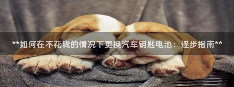 优发国际官网手机版下载苹果