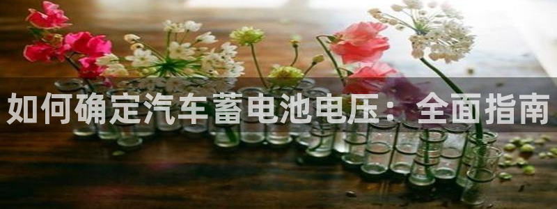 优发国际登录首页怎么设置