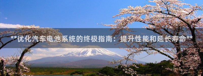优发国际平台u8