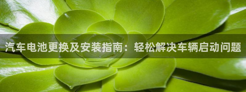 优发国际官方网手机版入口