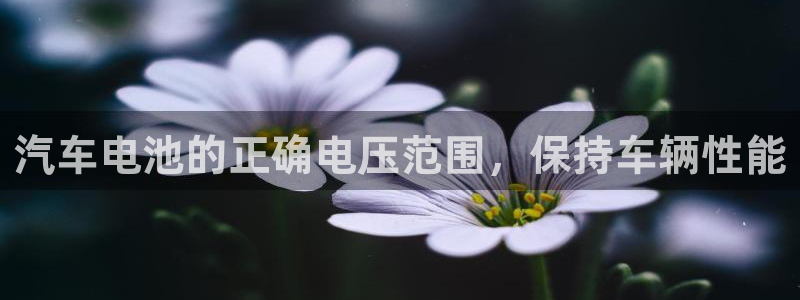 优发国际官网手机版入口