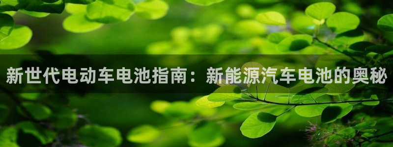 优发国际多少钱