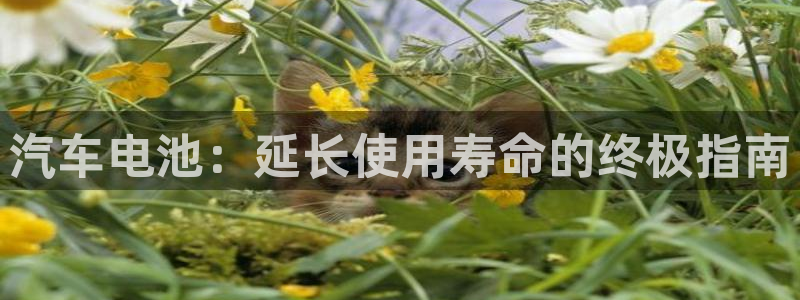 优发国际官方网手机版