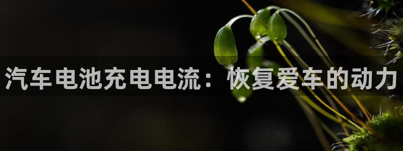 优发国际的官网是